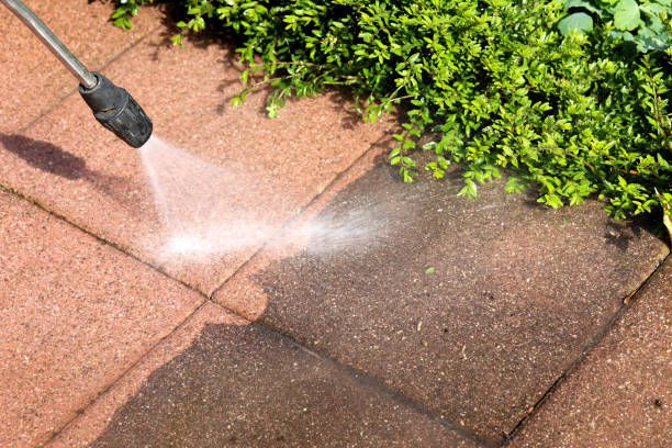 Best Roof Power Washing Services  in Rockwell, AR